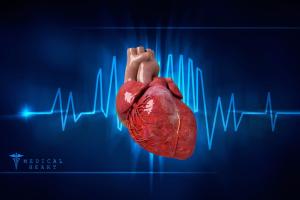 Kalp Kapak ve Kalp Kası Hastalıkları